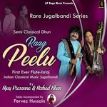 Raag Peelu Rare Jugalbandi Series