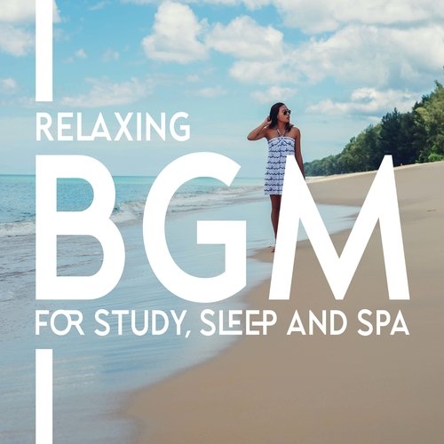 Relaxing BGM for Study, Sleep and Spa_poster_image