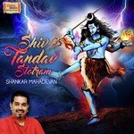 Shiv Tandav Stotram