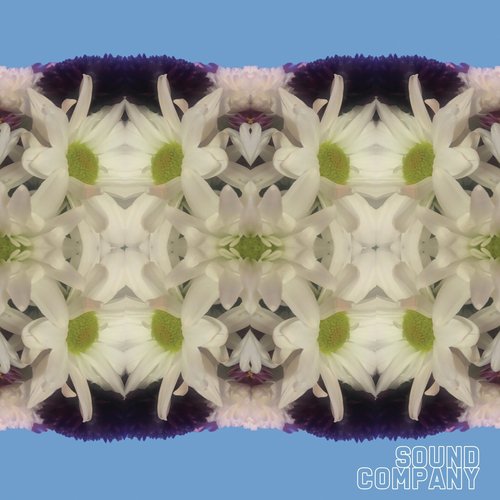 South cover art