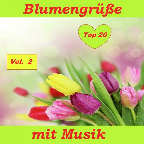 Top 20: Blumengrüße mit Musik, Vol. 2