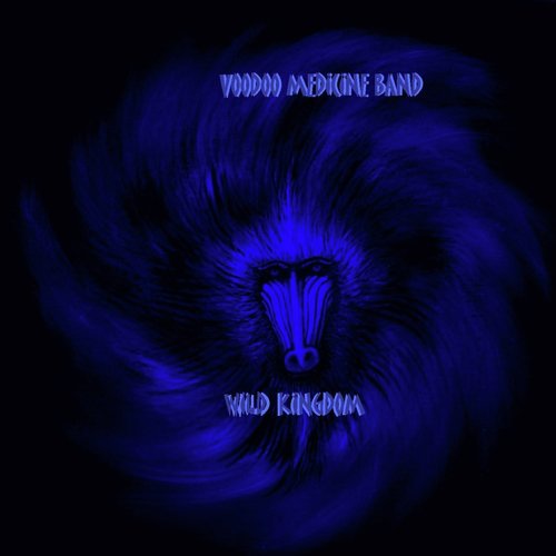 Midnight Stone People cover art