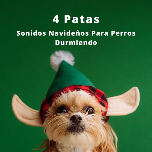Música Relajante Para Perros cover art