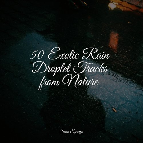 50 Exotic Rain Droplet Tracks from Nature