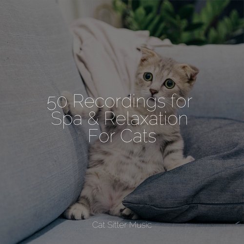 50 Recordings for Spa & Relaxation For Cats