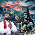 Baba Damru Wale (Feat. Anil Panchal)