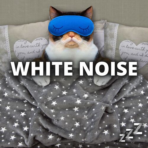 White Noise for Alexa cover art