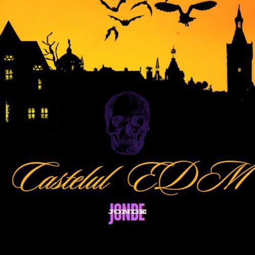 Castelul Edm_poster_image