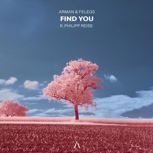 Find You_poster_image