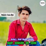 Kaif Singer SR 5998