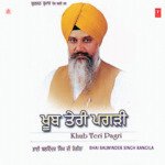 Khub Teri Pagri (Vyakhya Sahit)