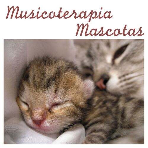 Relajación Mascota cover art