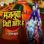 Majnua Jiddi Ahir Ha