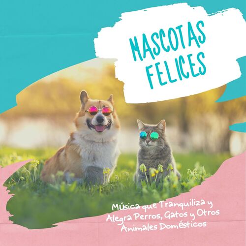 Relajar Perros cover art