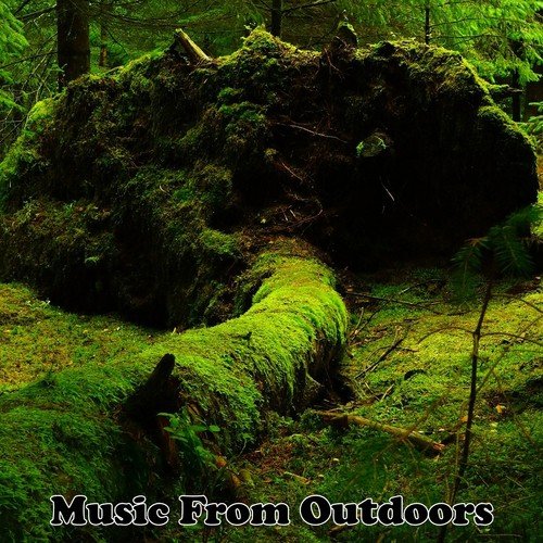 Music From Outdoors