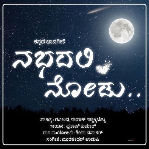 Nabhadali Nodu