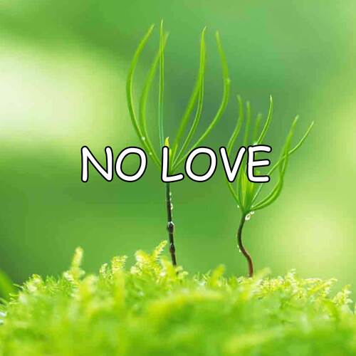 No Love