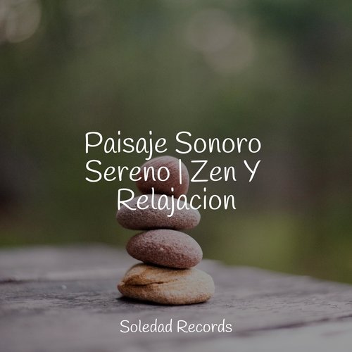 Un Paseo En Invierno cover art