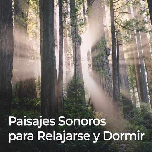 Paisajes Sonoros Para Relajarse Y Dormir_poster_image