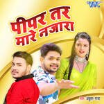 Pipar Tar Mare Najara