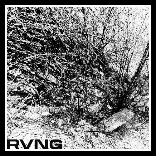 RVNG cover art