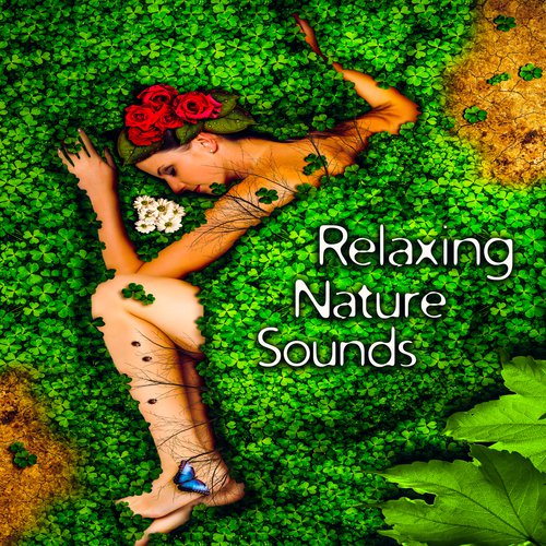 Relaxing Nature Sounds – Soft Music to Calm Down, Easy Listening, New Age Nature Melodies, Quiet Sounds