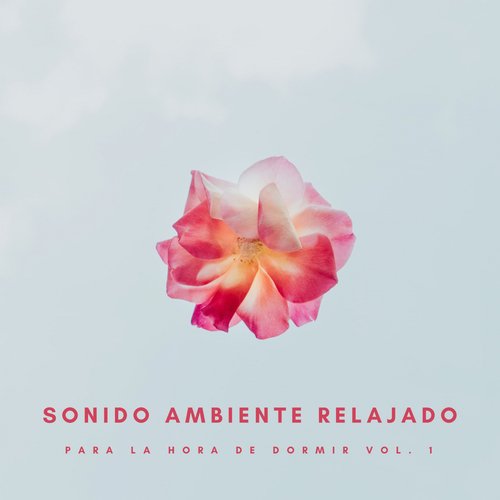 Estado Del Sueño cover art