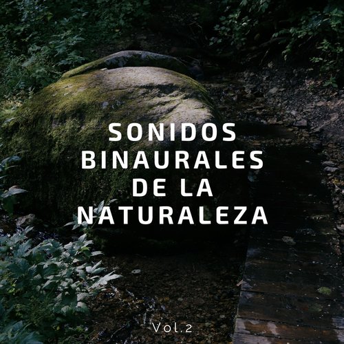 Ondas Cerebrales Binaurales cover art
