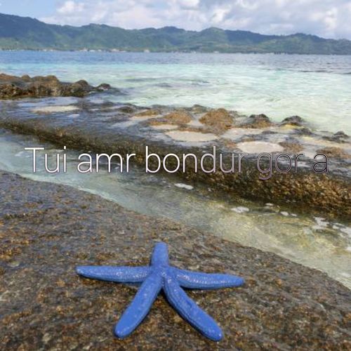 Tui amr bondur gor a