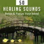 50 Healing Sounds (Relax & Focus Your Mind - Zen Music, Serenity Nature, Mindful New Age, Yoga Meditation, Harmony and Calmness)_poster_image