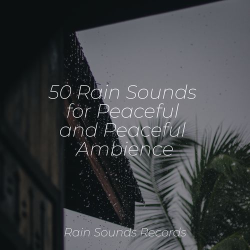 50 Rain Sounds for Peaceful and Peaceful Ambience