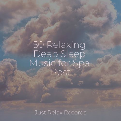 50 Relaxing Deep Sleep Music for Spa Rest