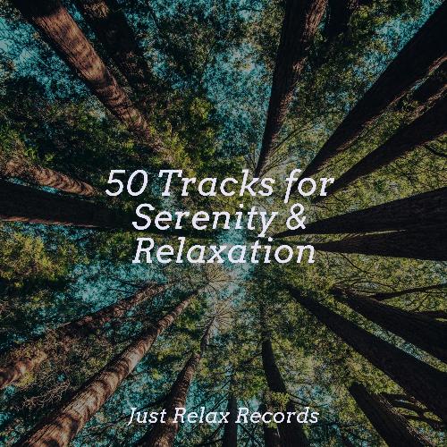 50 Tracks for Serenity & Relaxation