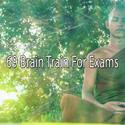 69 Brain Train for Exams