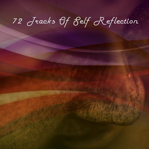 72 Tracks Of Self Reflection_poster_image