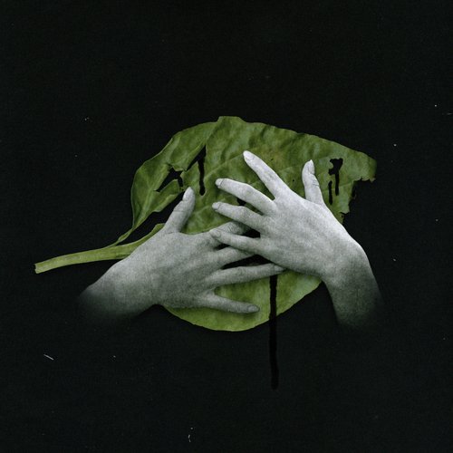 Подорожник