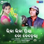 Bhija Bhija Priya To Chehera