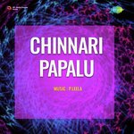 Chinnari Papalu