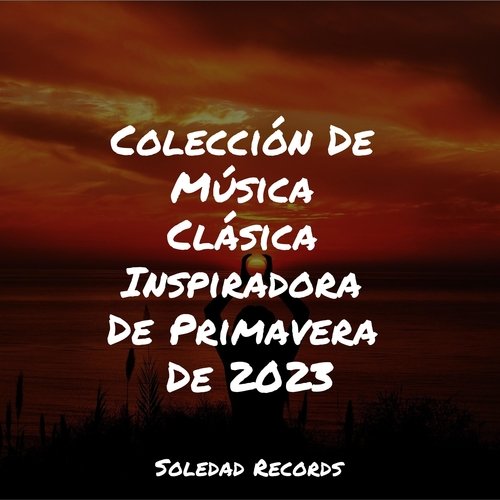 Colección De Música Clásica Inspiradora De Primavera De 2023