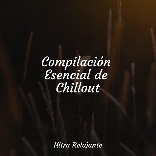 Compilación Esencial de Chillout