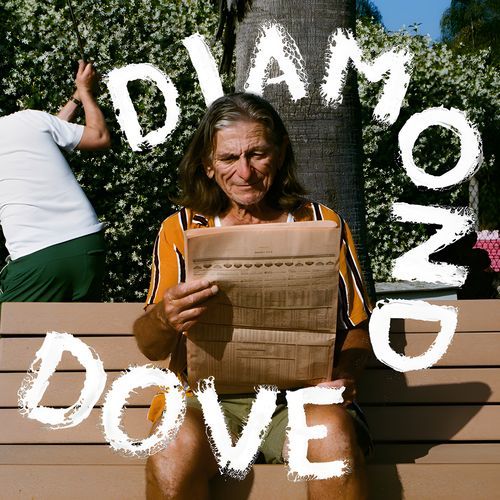 Diamond Dove