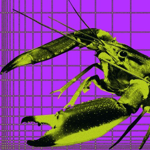 Do The Disco (feat. Jorge Bezerra) cover art
