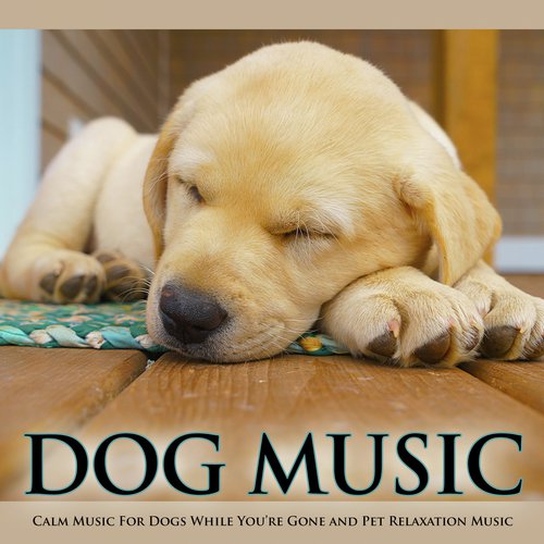 Dog Music cover art