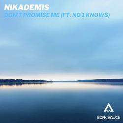 Don't Promise Me (feat. no 1 knows)