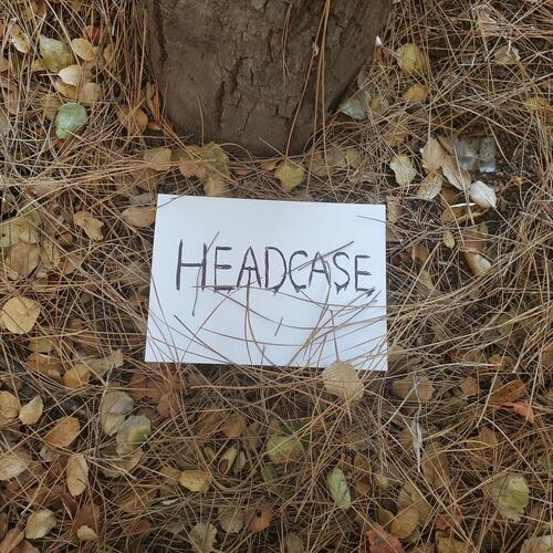 HEADCASE cover art