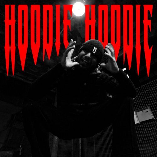 Hoodie Hoodie_poster_image