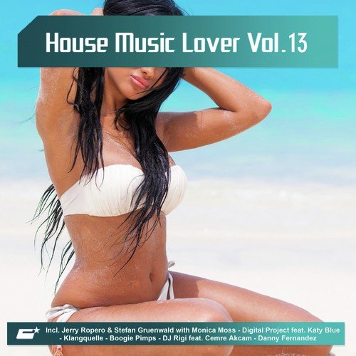 House Music Lover, Vol. 13