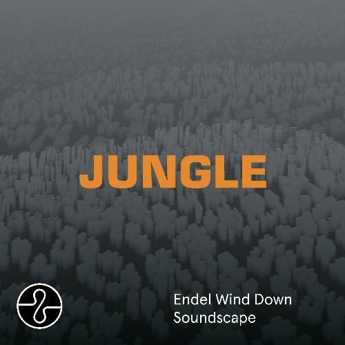 JUNGLE (Wind Down Soundscape)_poster_image