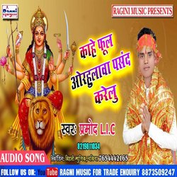 Kahe Fool Orhulwa Pasand Karelu