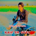 Kaif Sr 6687